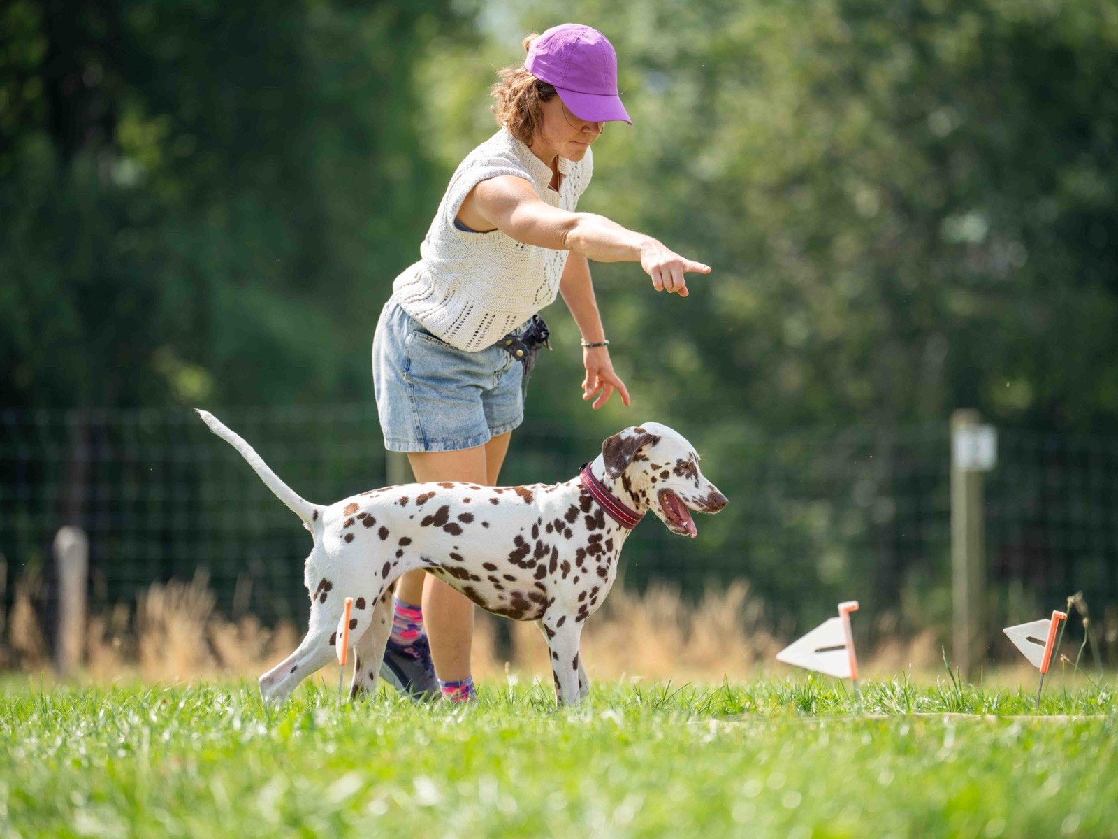 Cours ado / éducation de base — Bulle&Dogs