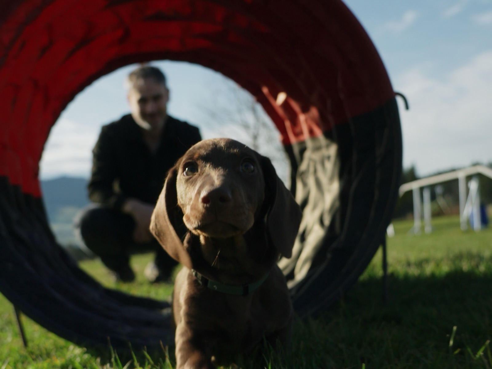 Ecole des chiots — Bulle&Dogs