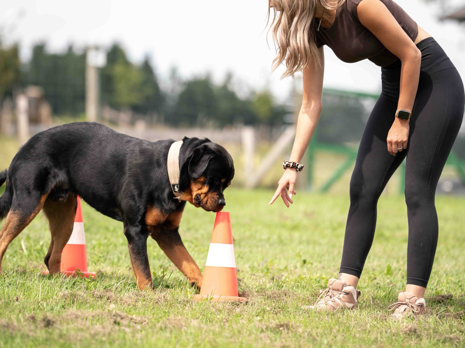 Flair / piste — Bulle&Dogs