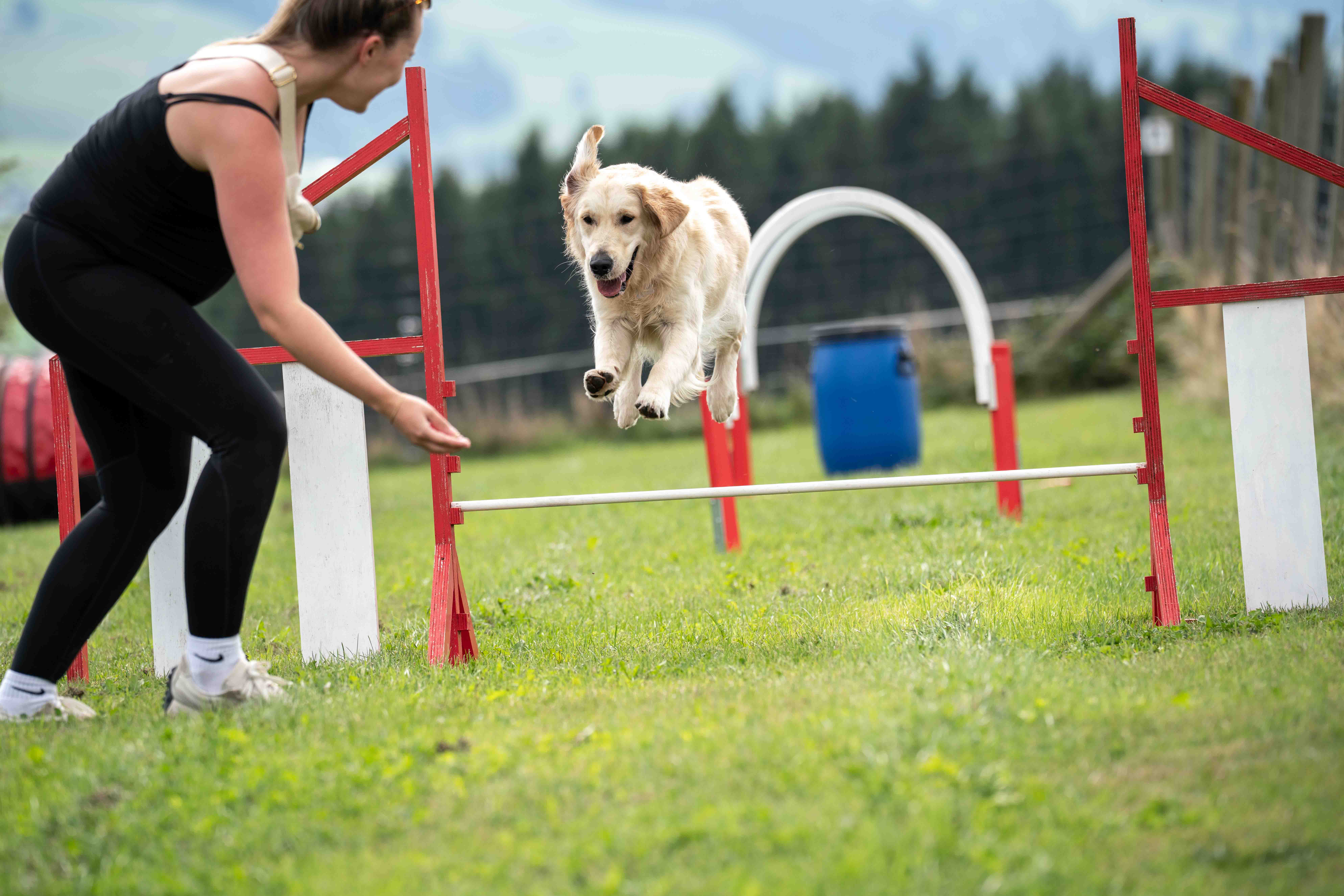 Education canine à Riaz, cours pour chien à Bulle, éducateur canin en Gruyère